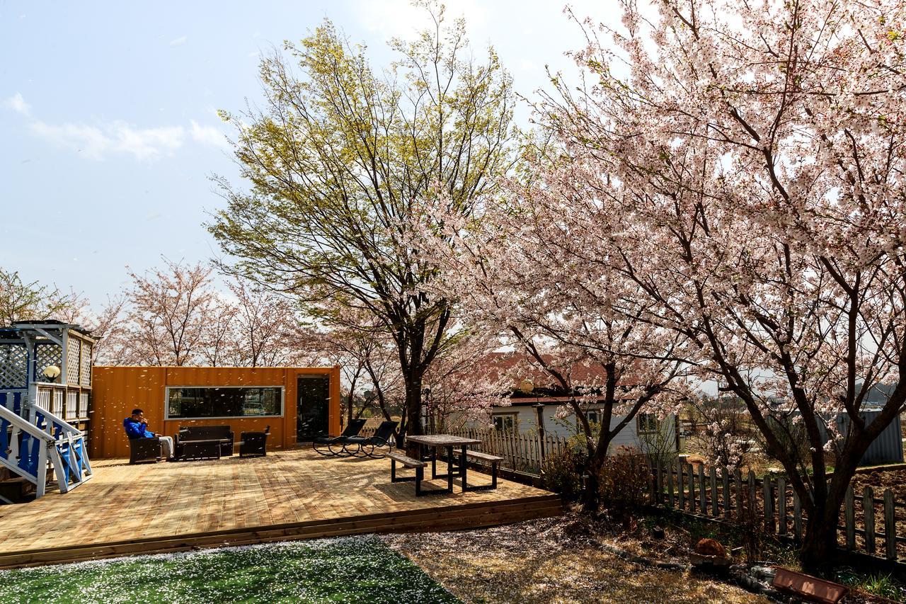 Polaris Tourist Pension Gyeongju Luaran gambar